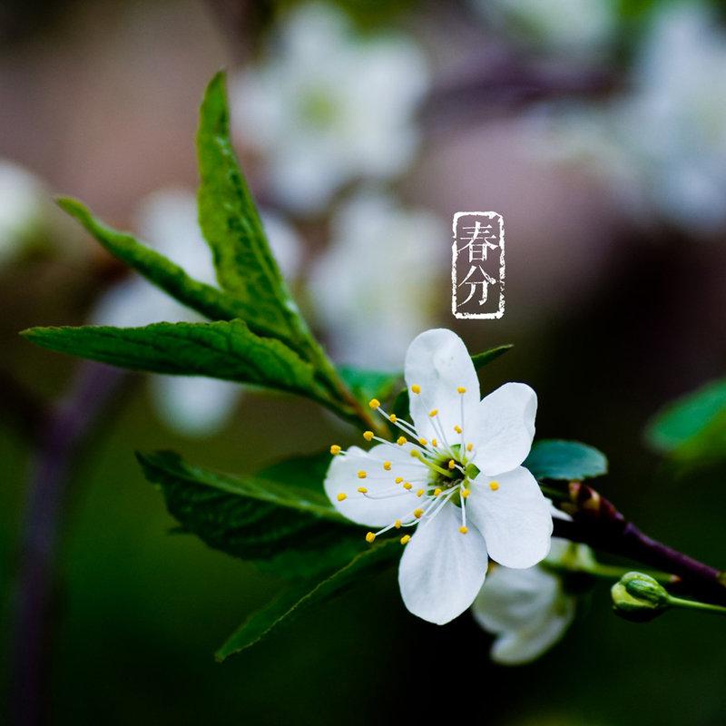 春分時節喝水有門道 柯露利華凈水機帶來安全健康水